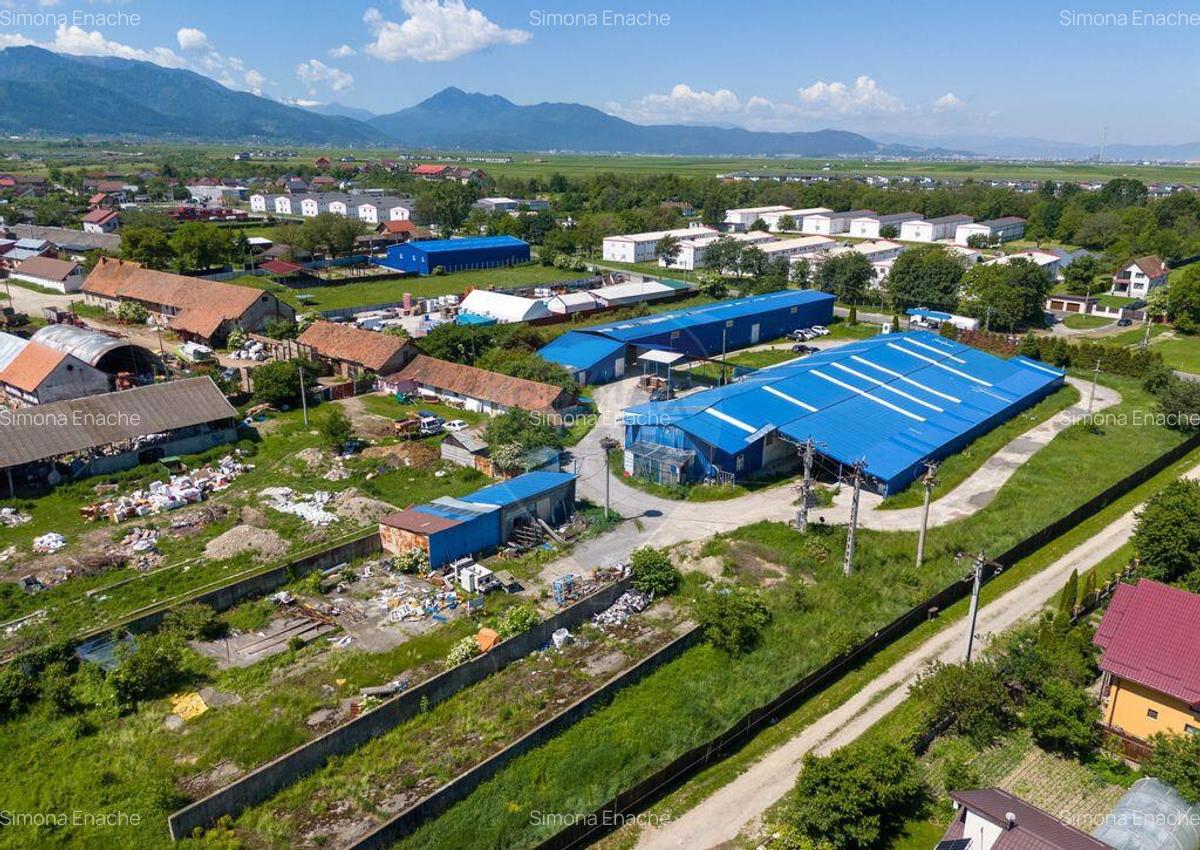 Comision 0 |Oportunitate : Hala Productie, hala depozit |... - 8