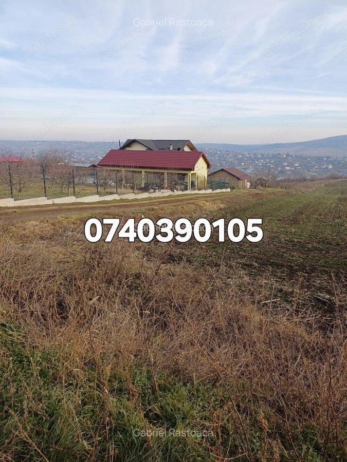 Teren 1950 mp Sorogari - 8