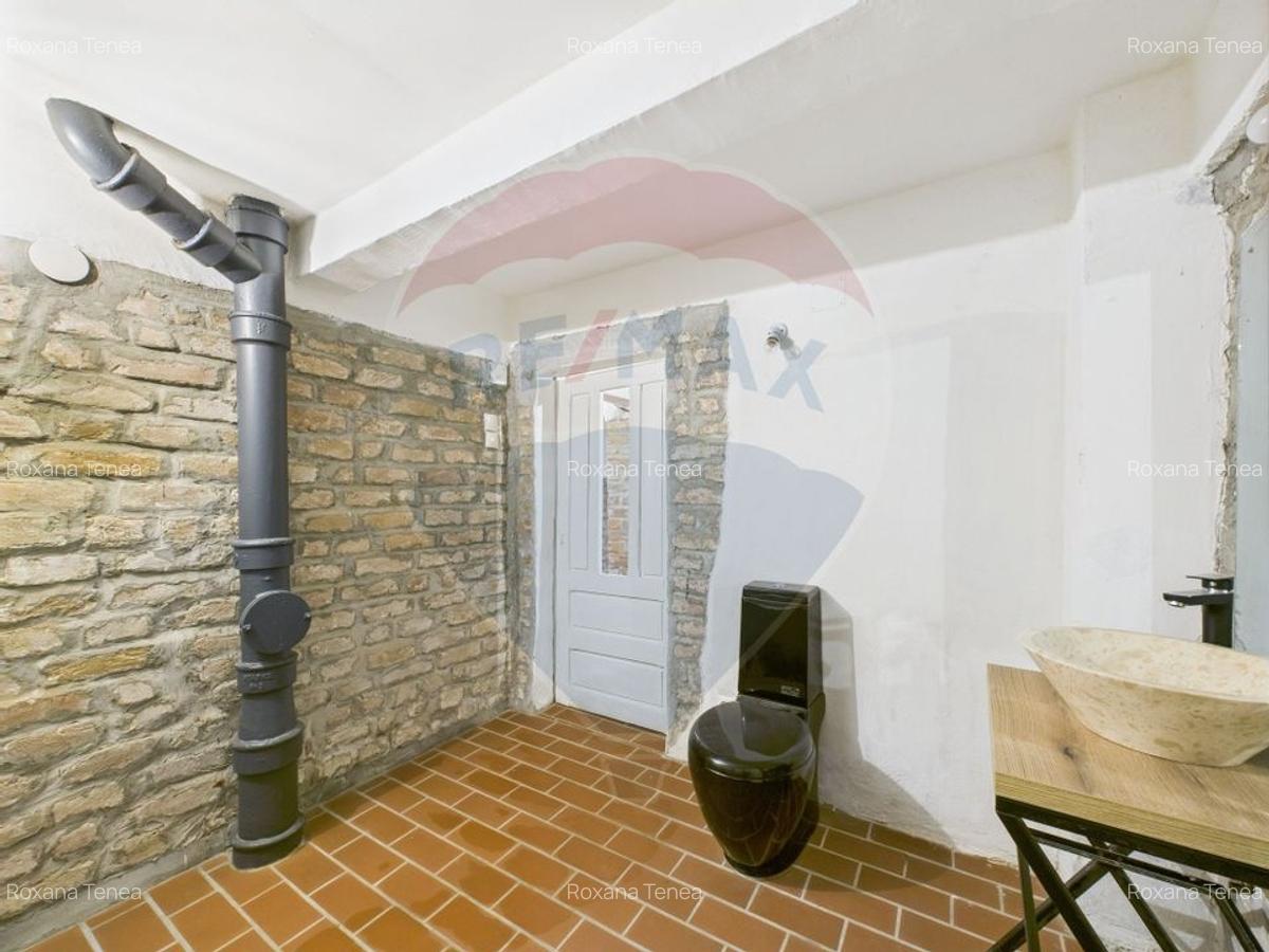 Spatiu comercial-Demisol-Atelier de arta - 12