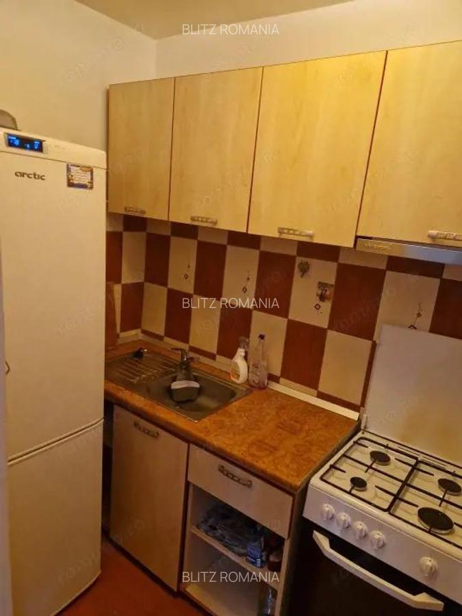 Garsoniera 35 mp Brazda lui Novac Pet Friendly - 4