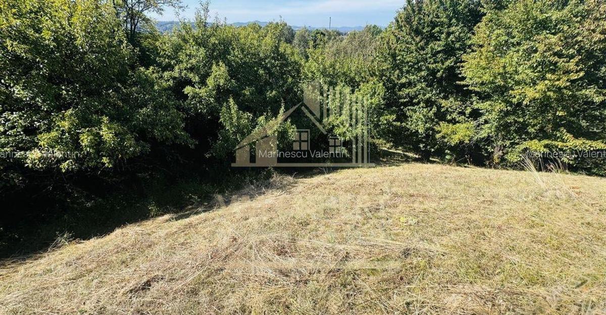 TEREN INTRAVILAN 3234 MP LERE?TI VOINE?TI ARGE? - 16