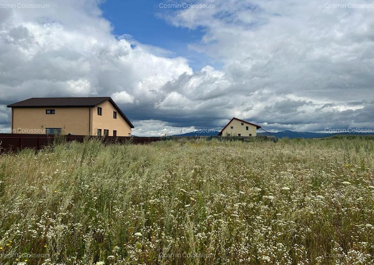 Teren de casa intravilan, zona Tarlungeni - Izvor! - 7