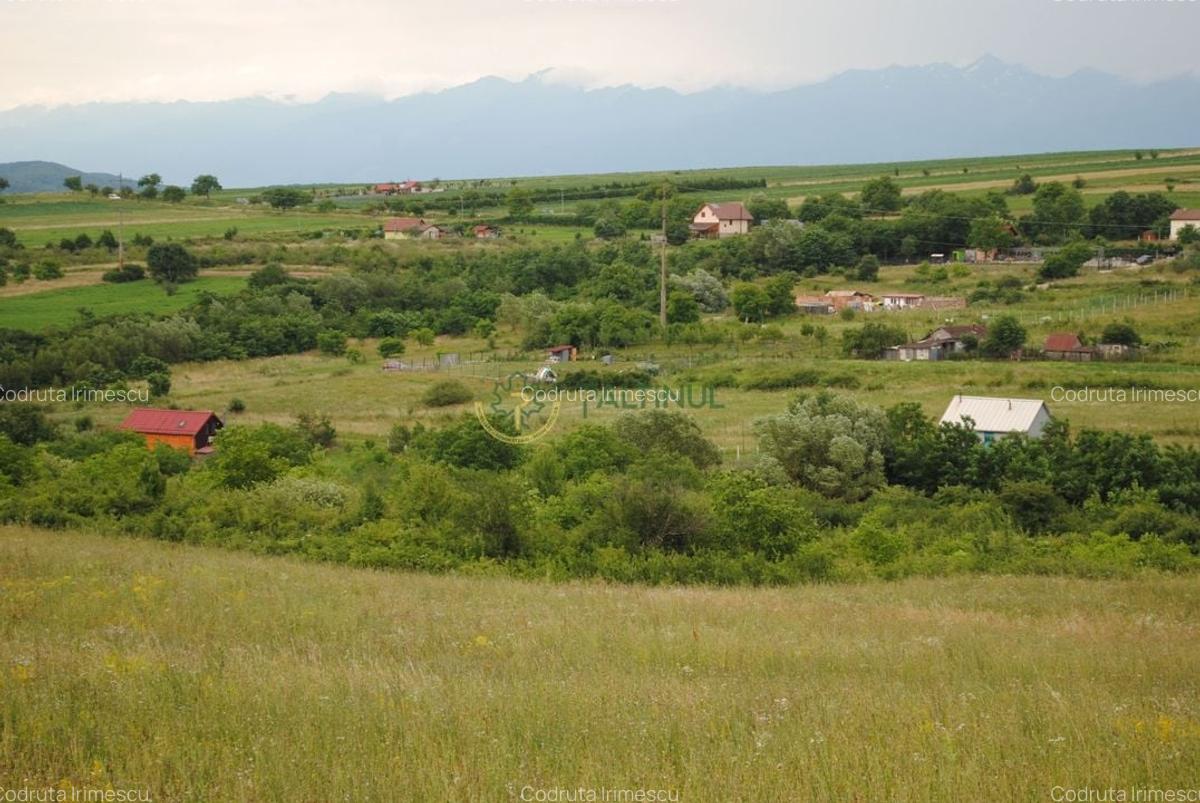 Teren 1,500 mp, vedere panoramica, Sibiu-Daia Noua - 5