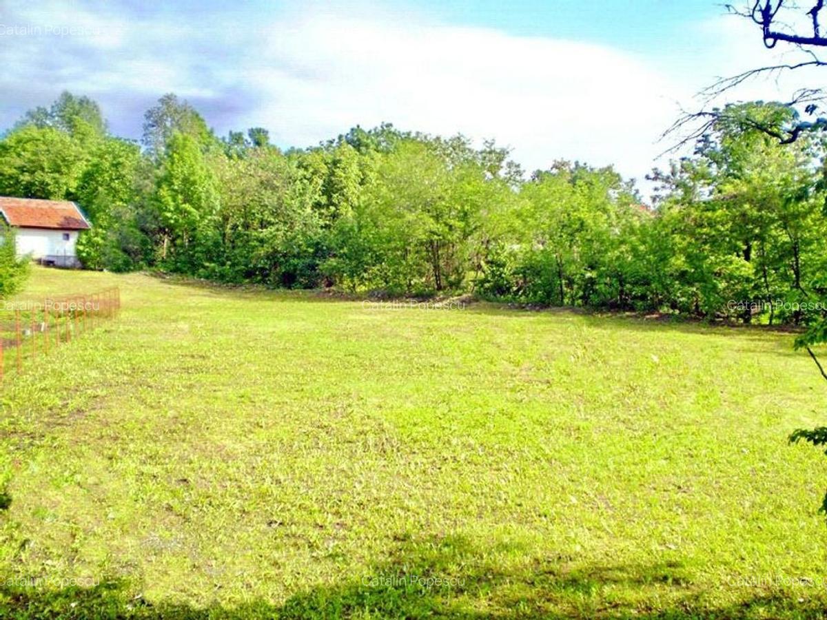 Casa Slanic Prahova  pensiune,hotel 24 camere - 5