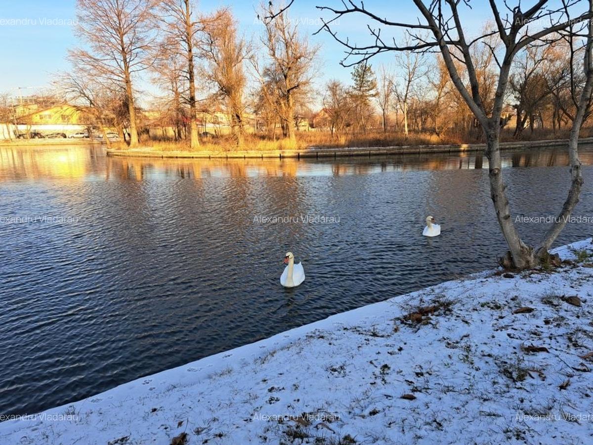 Teren intravilan 340 mp - Parcul Plumbuita - 11