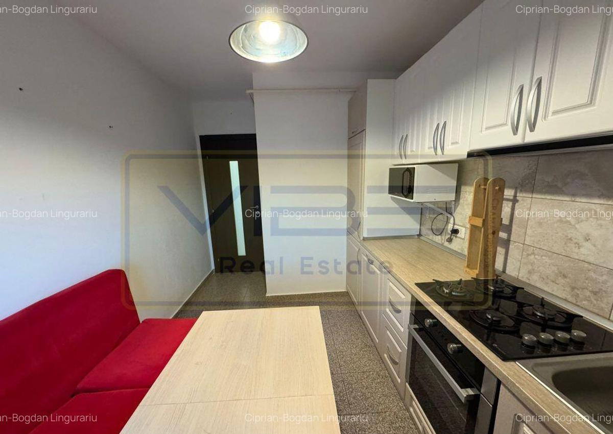 Apartament 1 camera decomandat 45mp Pacurari - Alpha Bank - 12