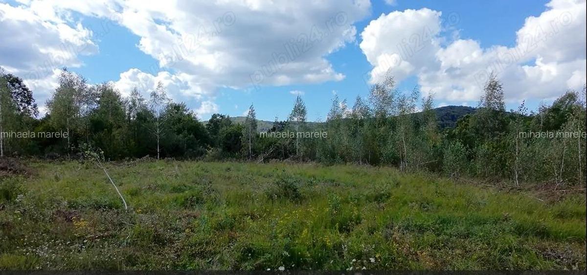 Teren cabana de vacanta Comision 0% - 3