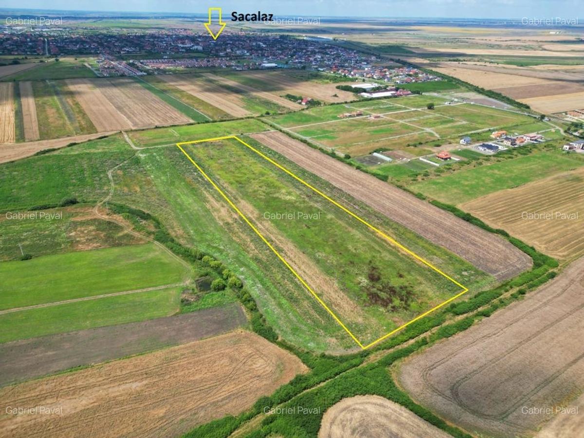 Teren Sacalaz 3,6 Ha - Pretabil PUZ Locuinte - 1