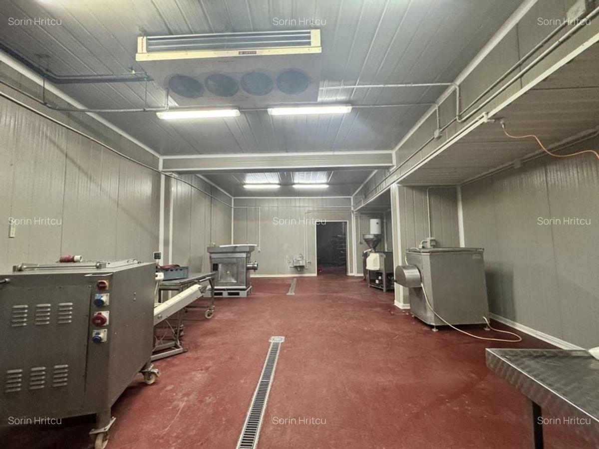 Spațiu industrial, 1270 mp în Dumbrăvița - 5