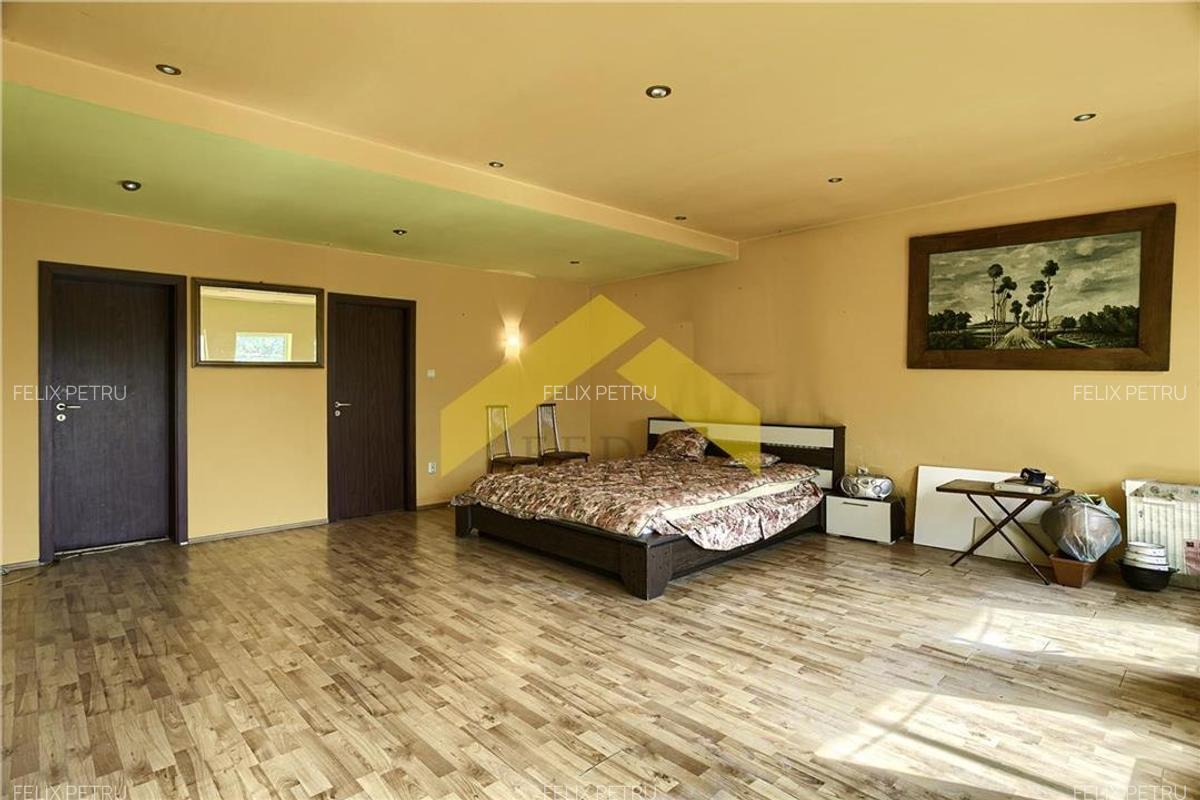 Casa 1000 mp si hala de vanzare Zadareni - 11