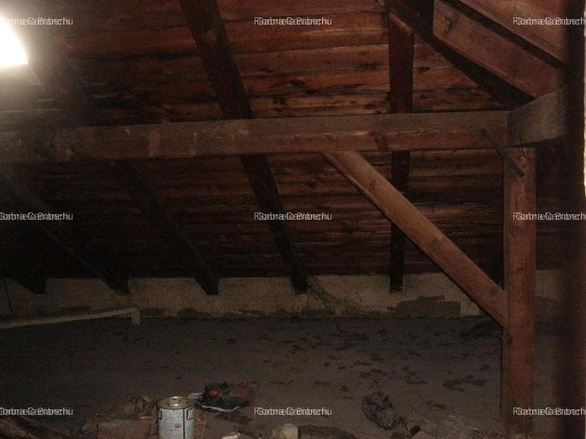 Cismigiu, imobil S+P+3E+M - 3