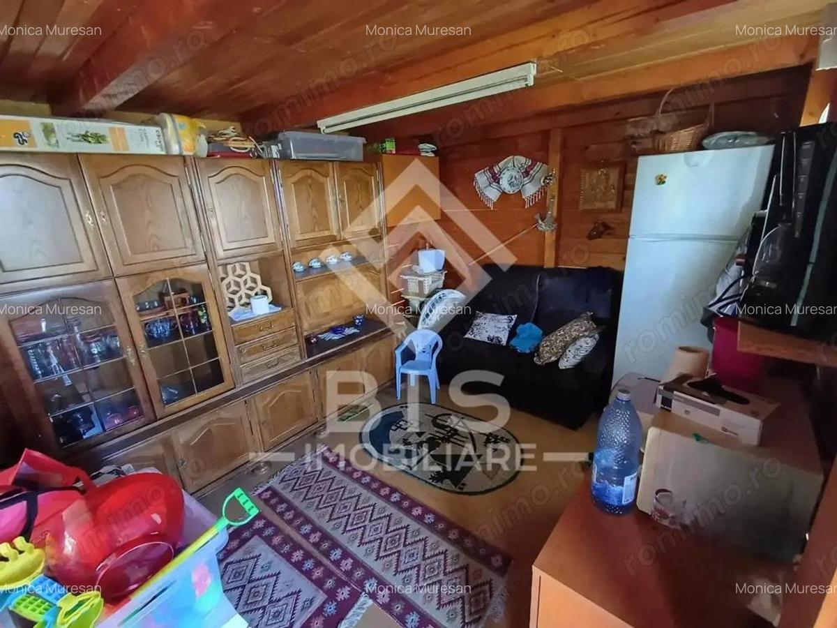 Teren 9.65 ari intravilan + cabana, livada, zona lini?tita - 4