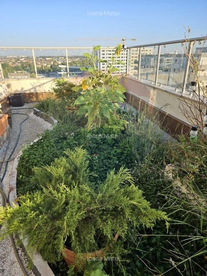 Apartament cu 3 camere decomandat în Lacul Morii - 13