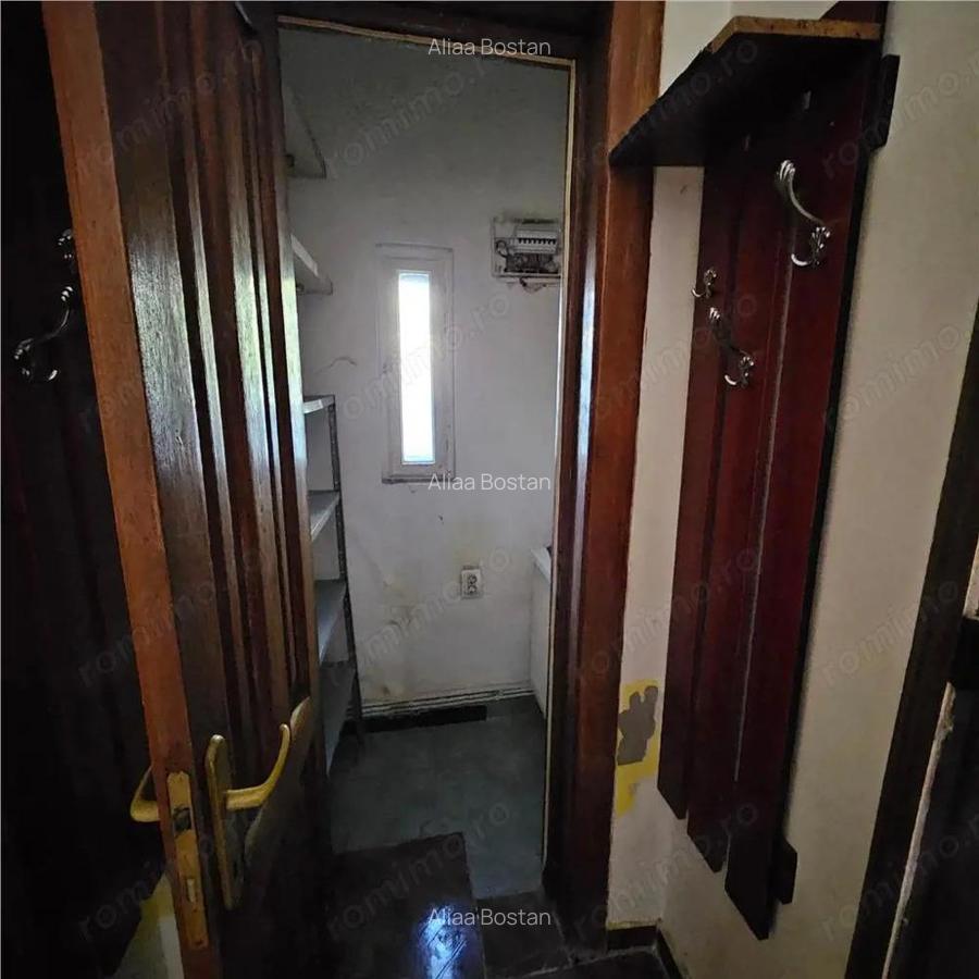 Doua case vecine, cu vad, in Bucure #537;ti, Tineretului, Parcul Carol - 11