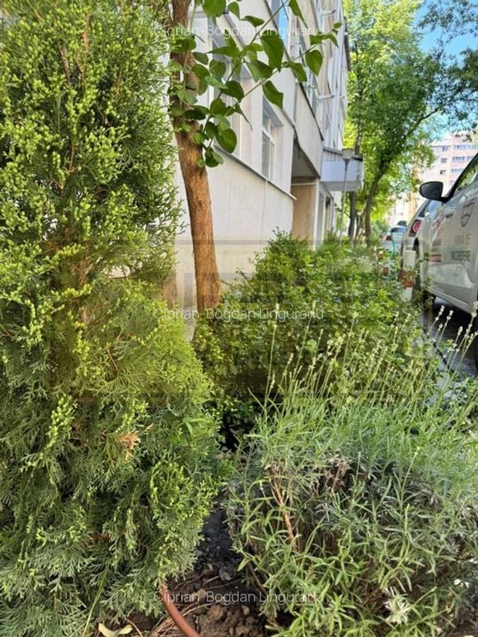 Apartament cu 2 camere decomandat, mobilat în Nicolina - 20