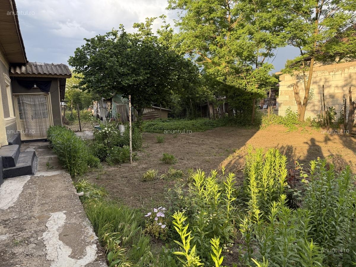 Comuna Nana, jud. Calarasi Casa de vanzare - 4