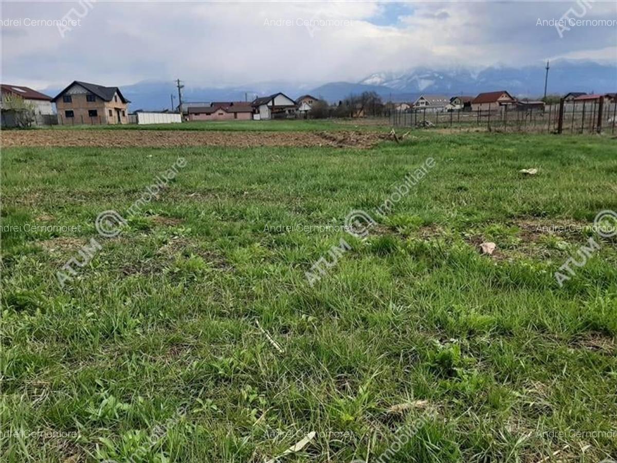 Eren intravilan 1400 mp de vanzare pe Valea Avrigului - 5