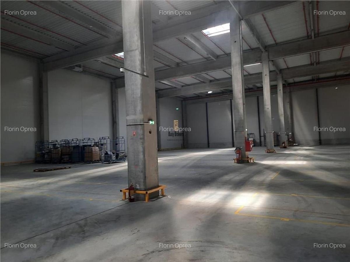 Spatiu Industrial - 3000 mp - Logistica - Productie - Depozitare - 8