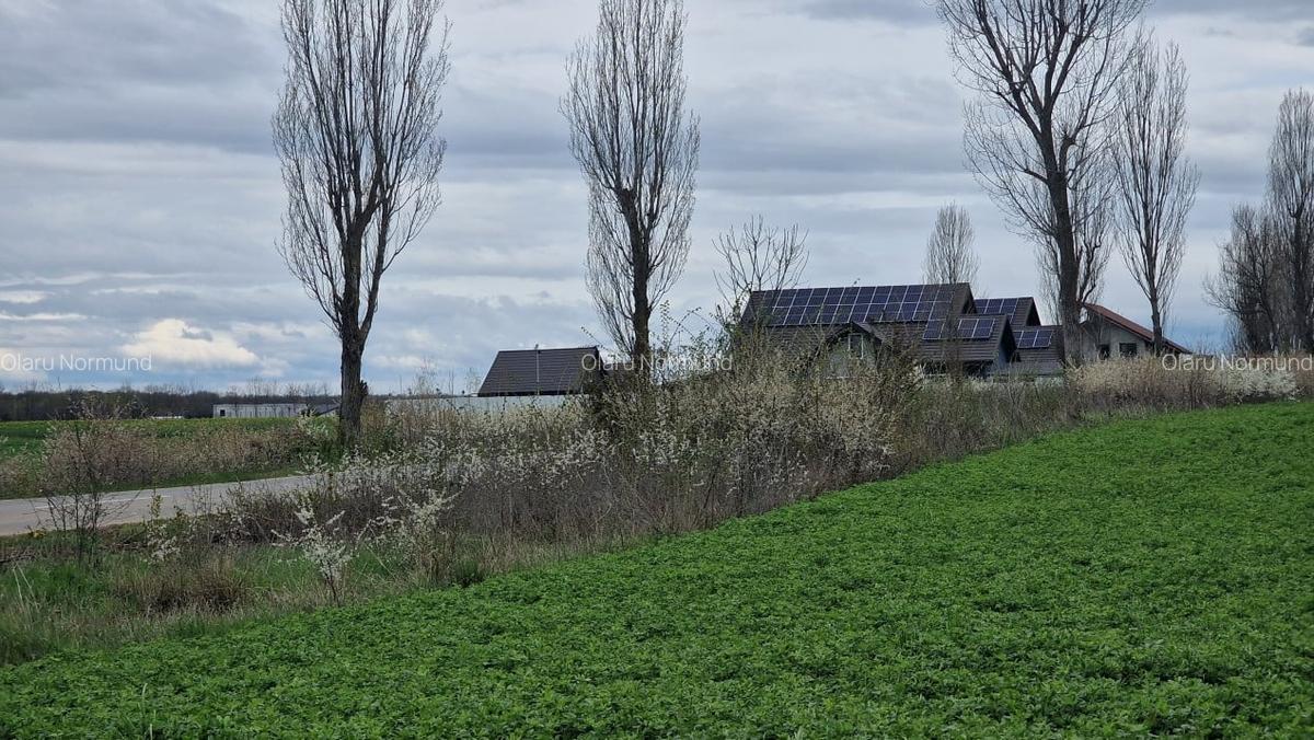 Loturi de 500mp | langa Padurea Snagov | IZVORANI | LOCATIE DE VIS - 6