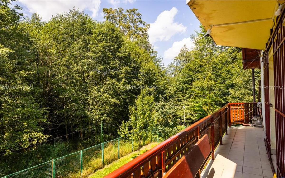 FILM! Refugiu de vacanta, cu foisor, gradina si muntii in za - 5