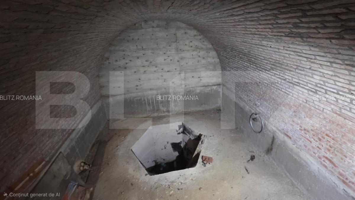 Casa de vanzare, 271 mp, zona Oiejdea - 11