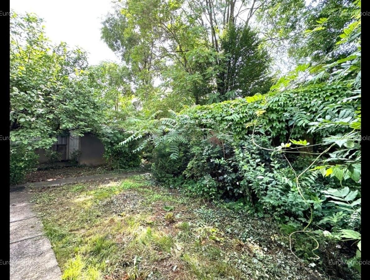 Vila individuala , teren 570mp, zona Kiseleff - 4