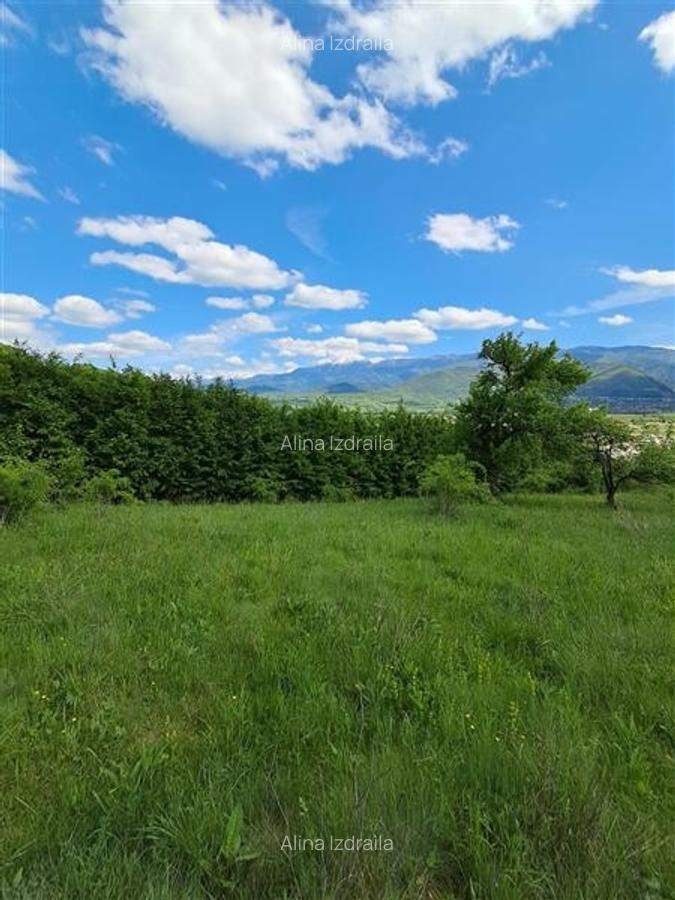 Teren  de vanzare la liziera padurii in Talmaciu - 12