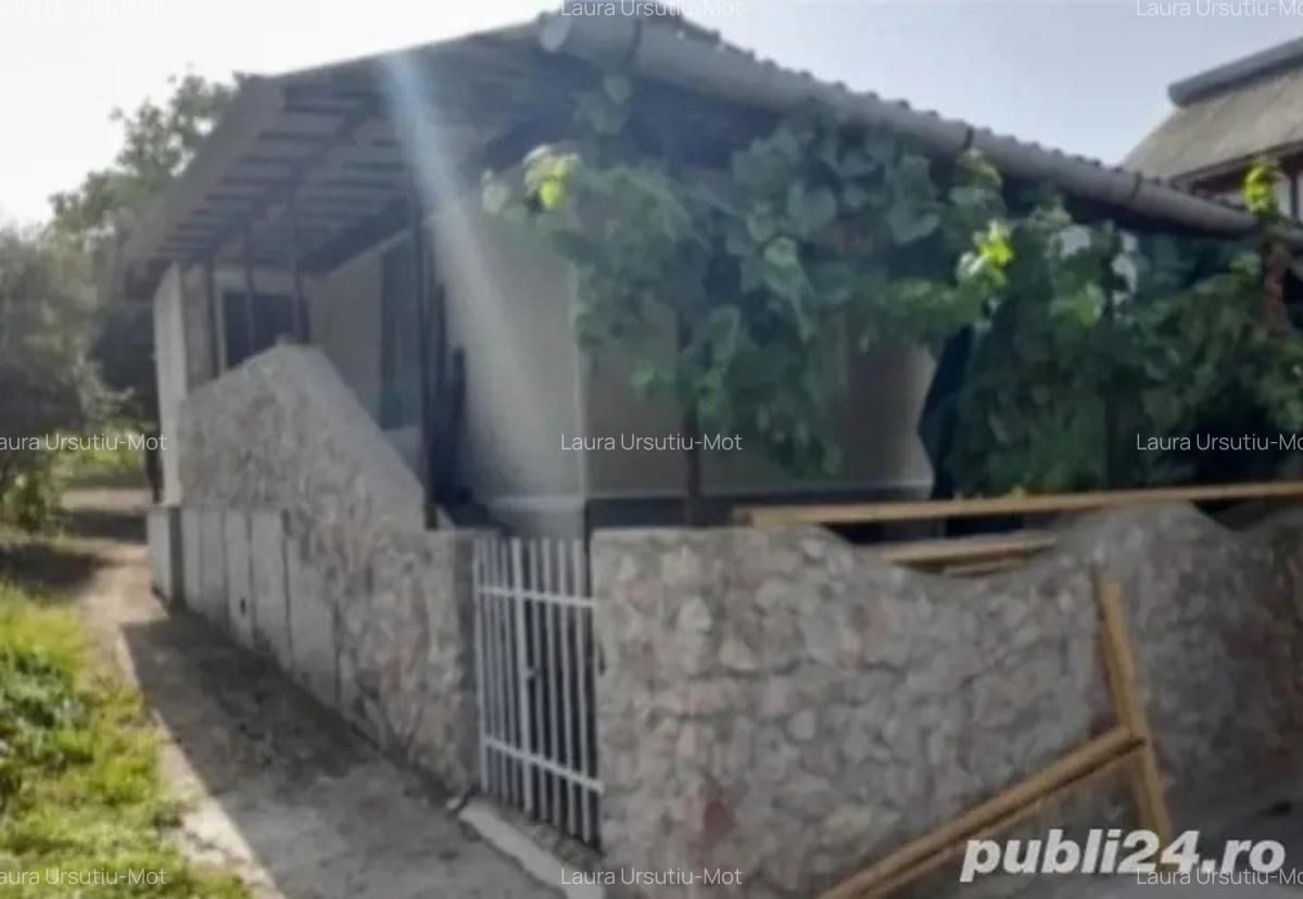 Casa in dealul Viilor Ineu - 2 Casa in dealul Viilor Ineu - 2