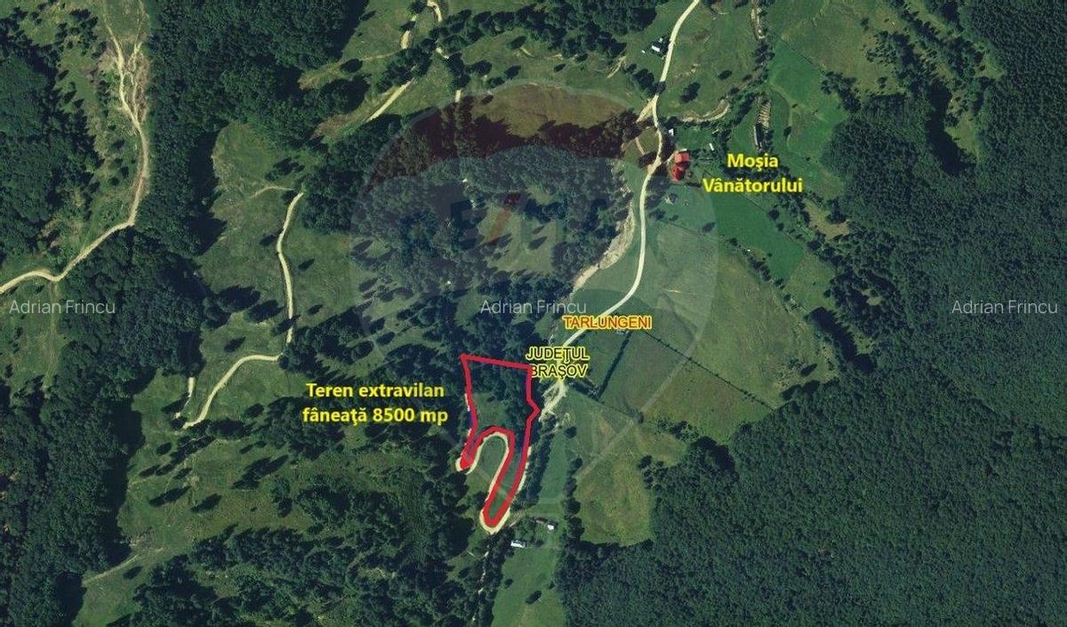 Teren 8500 mp, Valea Dalghiului - Dalghiu - vedere catre Ciucas - 4