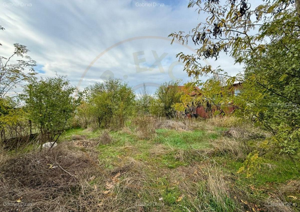 Teren pentru dezvoltare proiect imobiliar Domnesti-Centru - 24