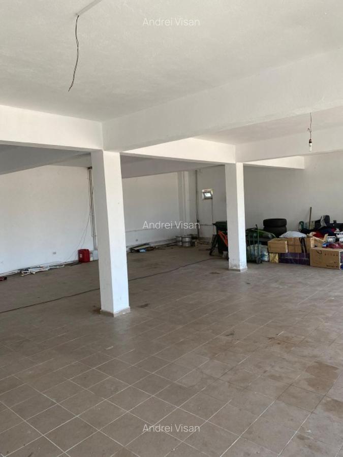 Spatiu Comercial de Inchiriat Ulmi DN71 HALA 140MP+800MP TEREN - 2