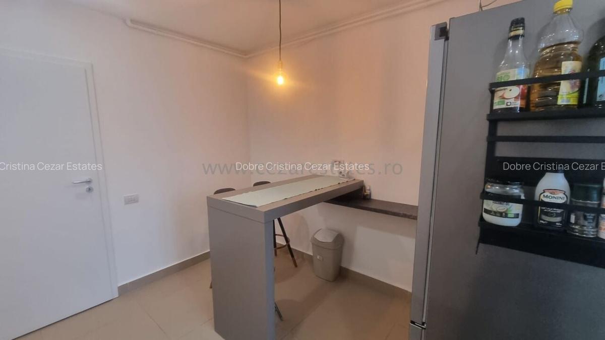 Apartament cu 2 camere decomandat în Herăstrău - 12