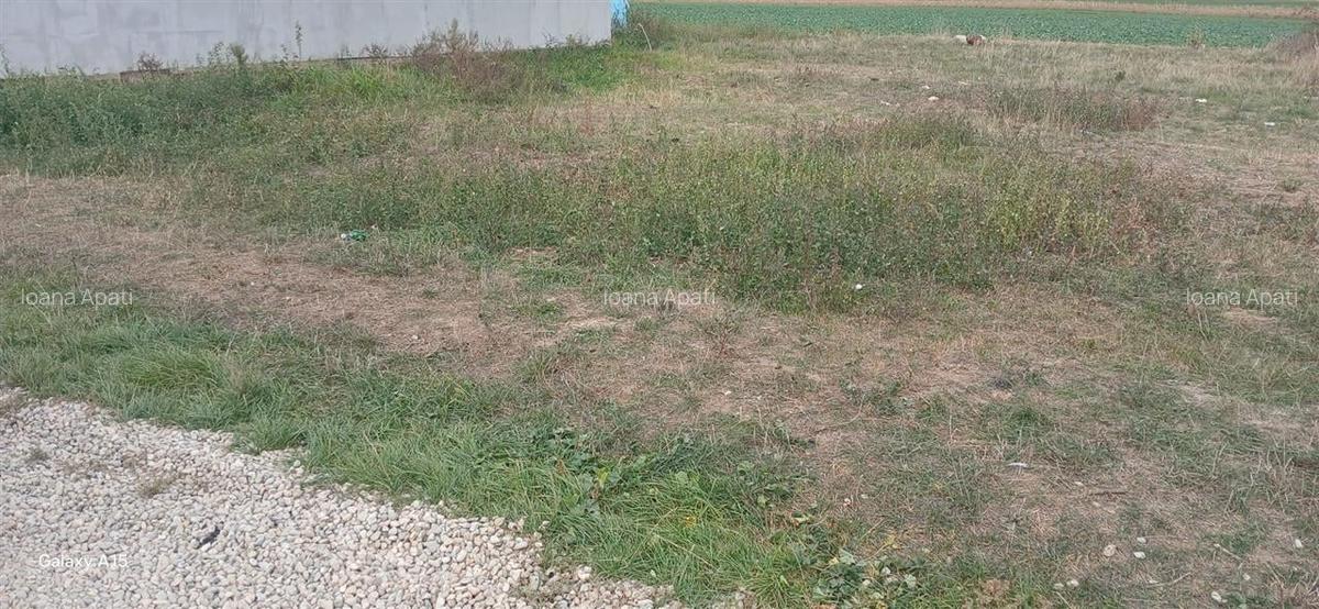 RECO Teren intravilan in Tarian - 2