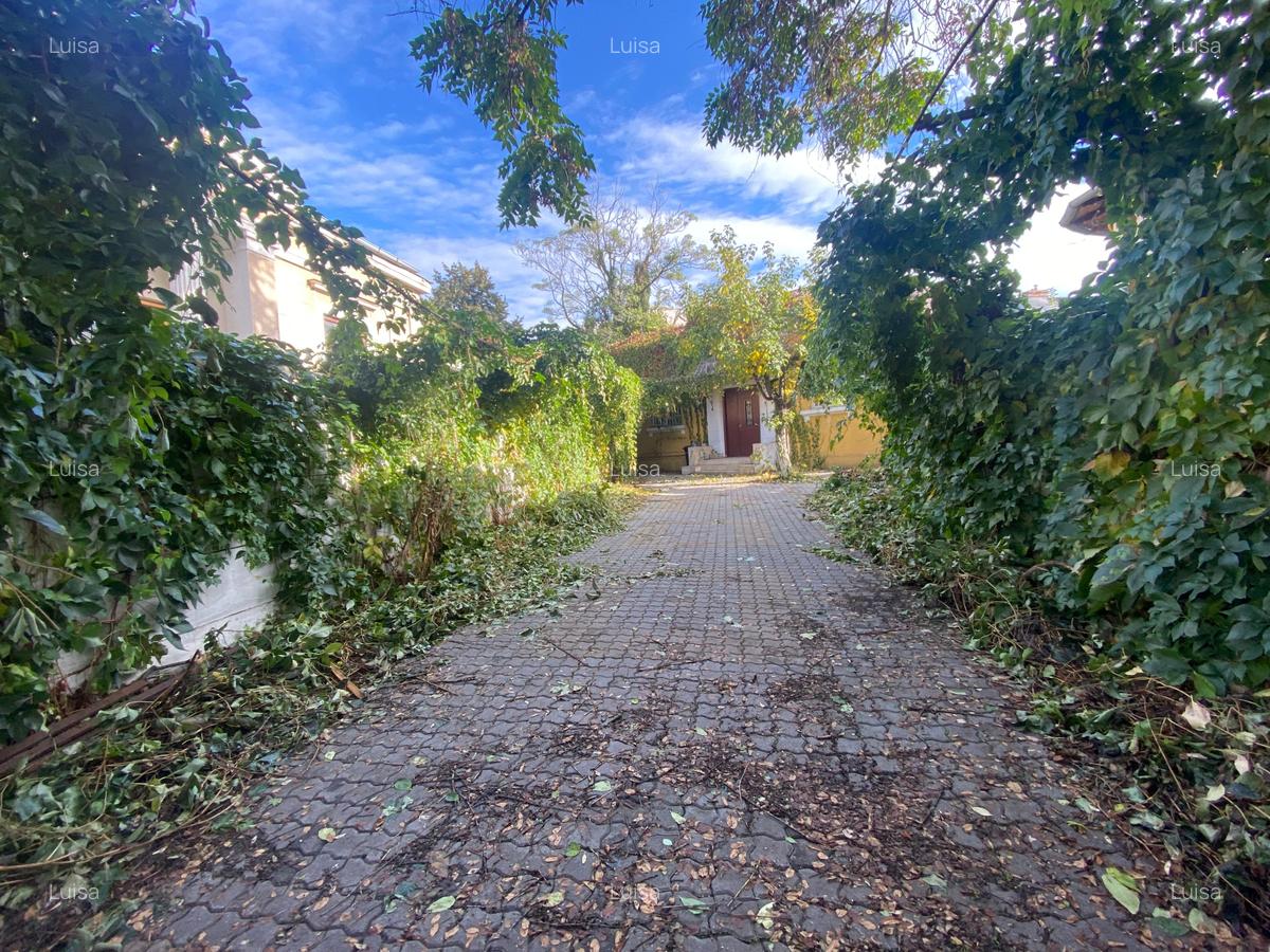 Casă interbelica de vanzare în zona Universitate - Armeneasca - Plantelor - 14