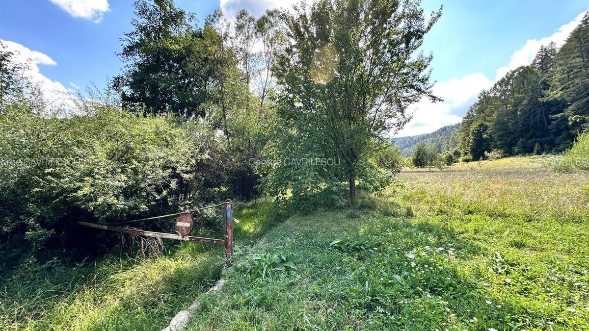 Teren Construcții intravilan de 4000 mp, în Brădet - 13