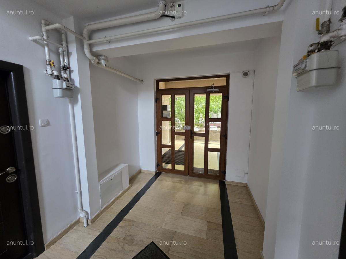 Ion Mihalache-Domenii - 8