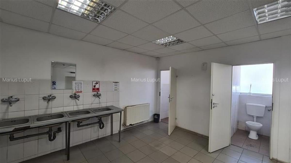 Hala industriala Timisoara, 2500 - 7500 mp , Calea Sagului - 10