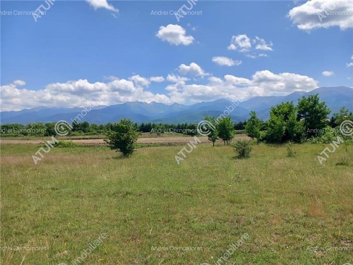 Teren intravilan 5000 mp pe Valea Avrigului, Sibiu - 2