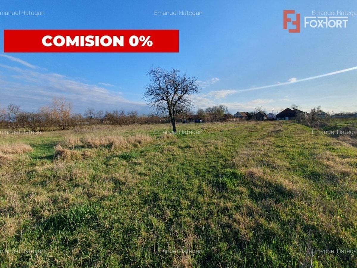 COMISION 0% Casa individuala cu teren de 3930 mp - Padureni - 2