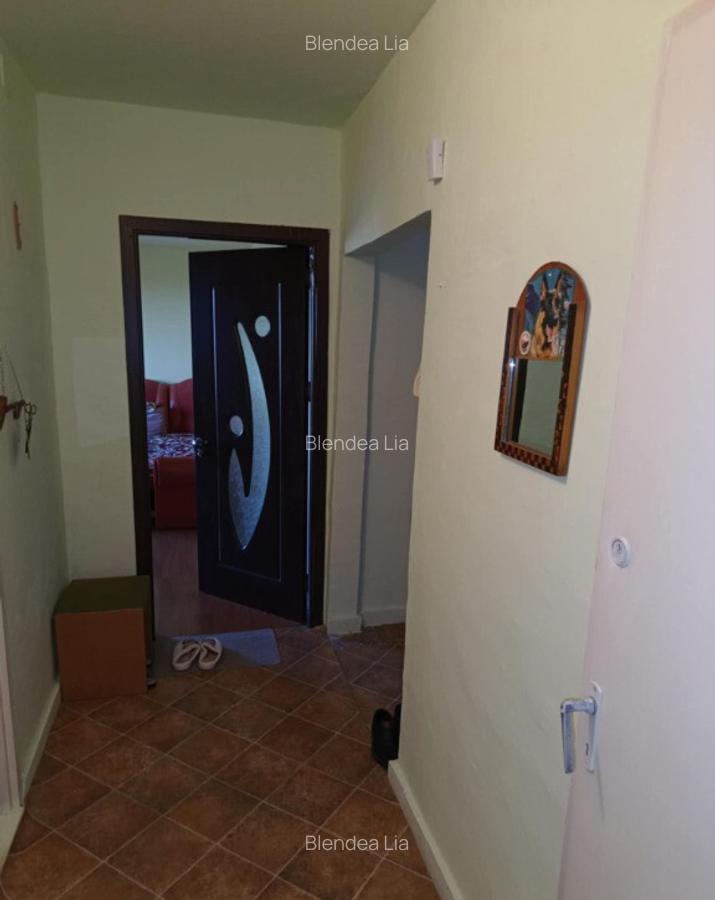 Apartament 3 camere Lugoj pe malul Timi?ului. - 4