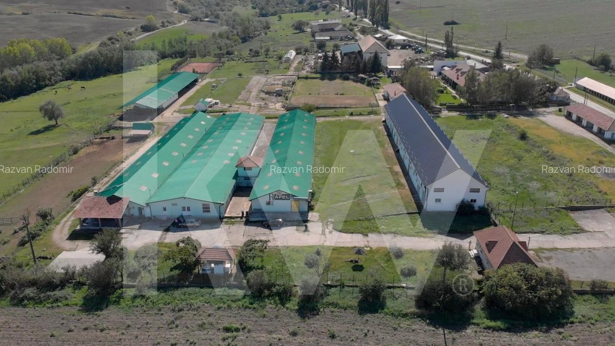 Hala industriala de productie, functionala, 790mp, Rahau, Sebes - 8