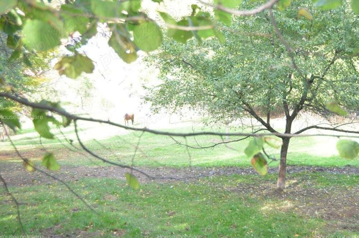 Brasov-Schei -Teren intravilan de vanzare - 8 Brasov-Schei -Teren intravilan de vanzare - 8