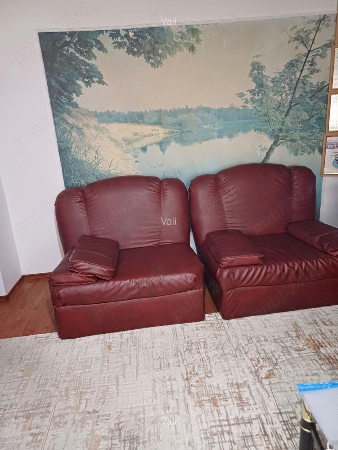 Vanzare apartament Calimanesti - 5