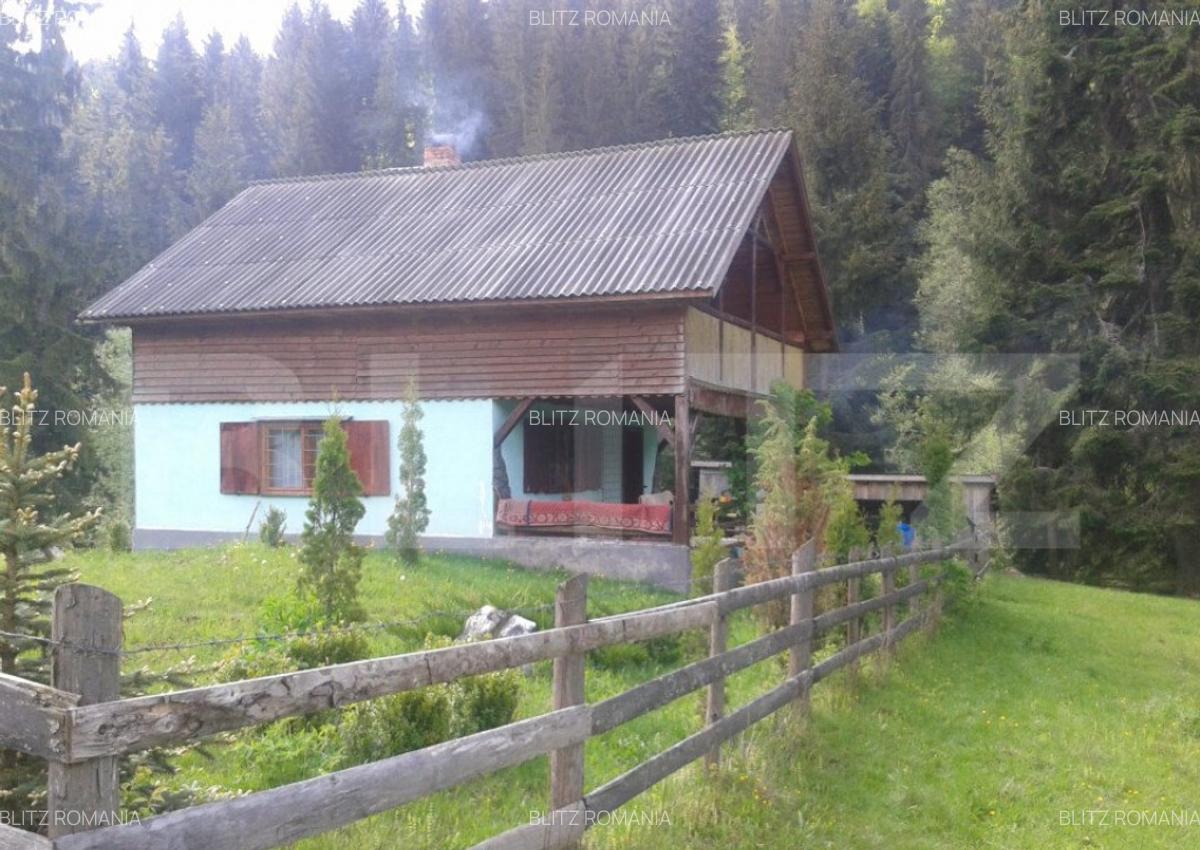 Casa de vacan?a in Piatra Fantanele + 4,5 arii teren - 1