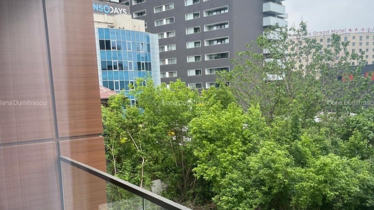 REA1025662 Apartament High End 2 camere I Zona Aviatiei I Mobilat si utilat - 9