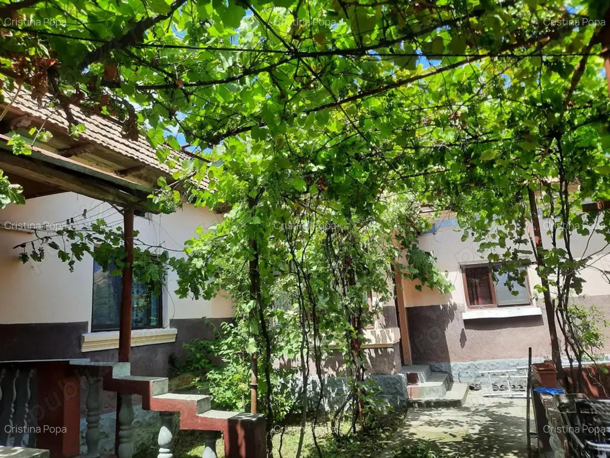Casa cu teren de 5100 mp Babanei Romani - 8