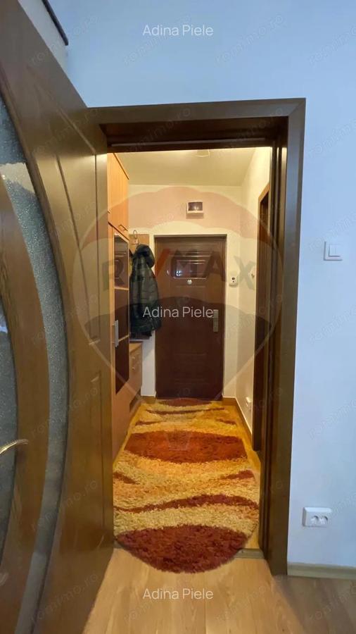 Apartament cu 1 camera de inchiriat in zona Brazda lui Novac - 4