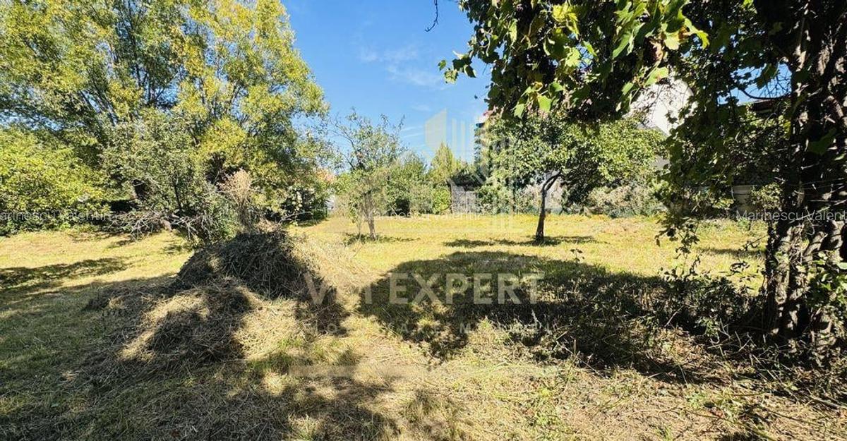 TEREN INTRAVILAN 3234 MP LERE?TI VOINE?TI ARGE? - 1