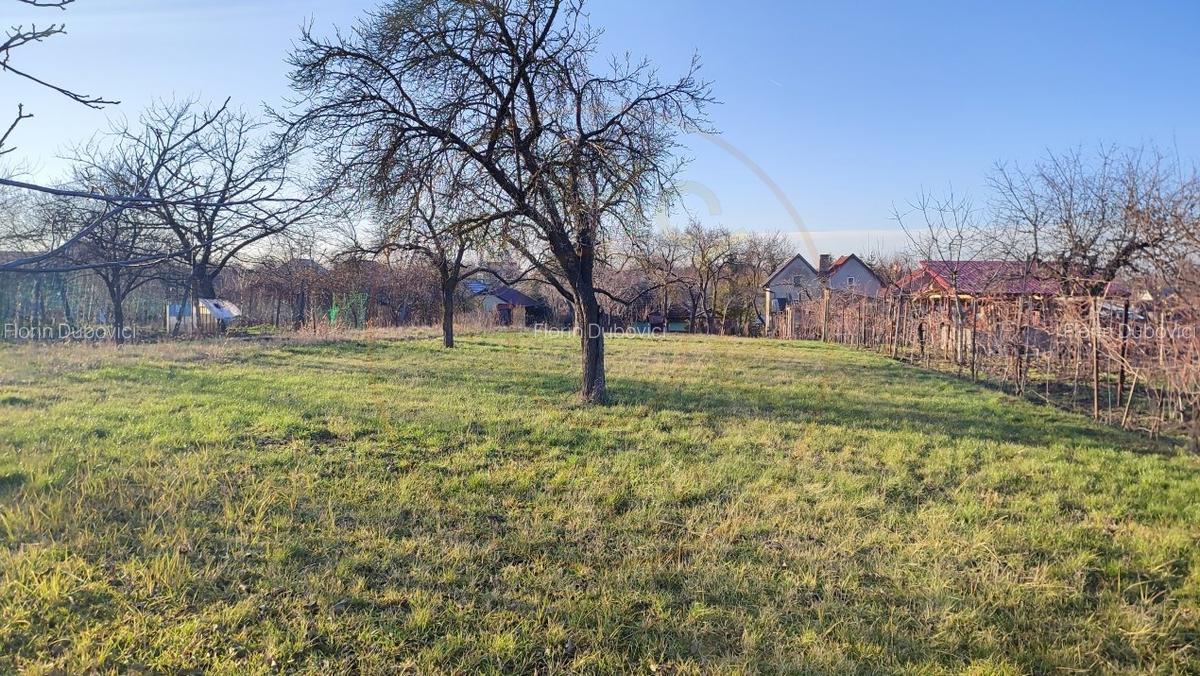 De vanzare Casa 2 camere cu Teren 1323 mp, 2 fronturi - Gradina Viilor - Carei - 4