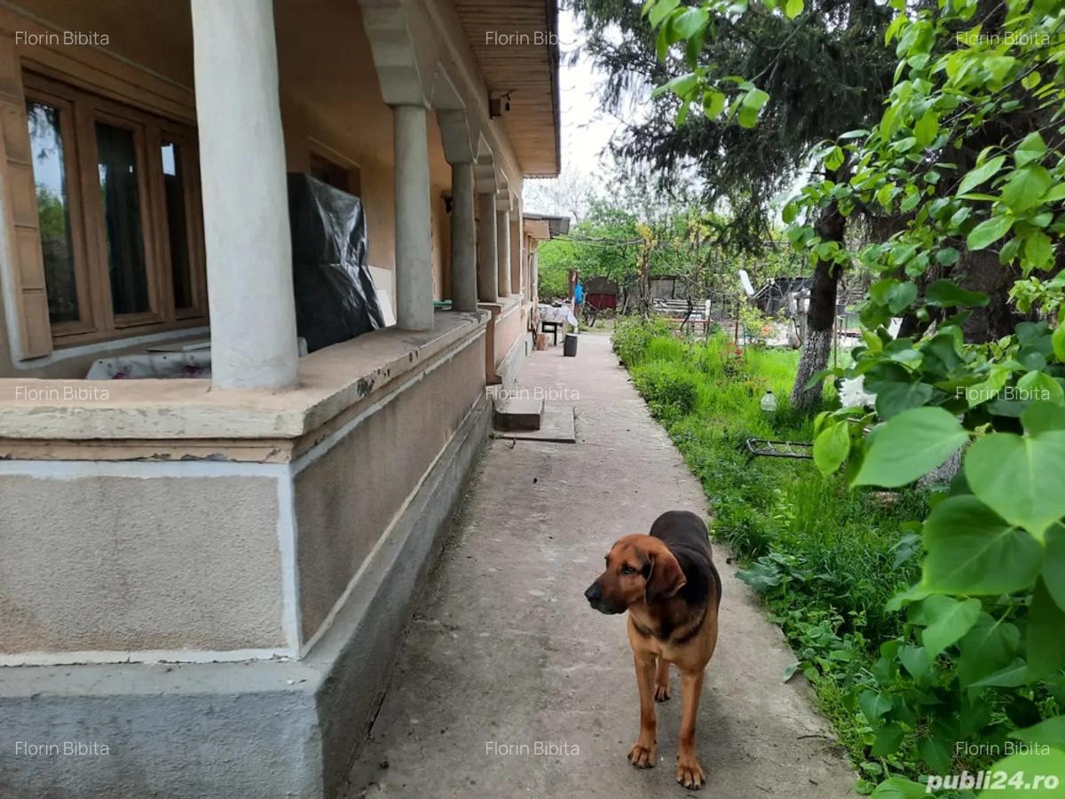 Casa de vanzare - 5